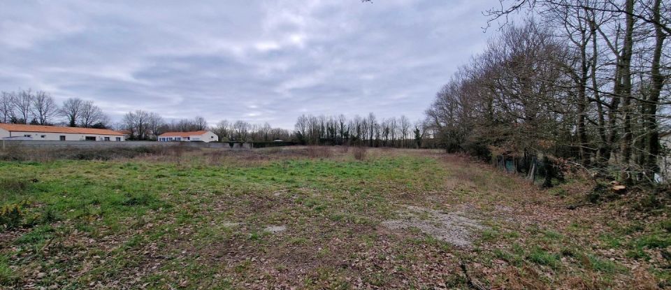 Vente Terrain 537m² à Challans (85300) - Iad France