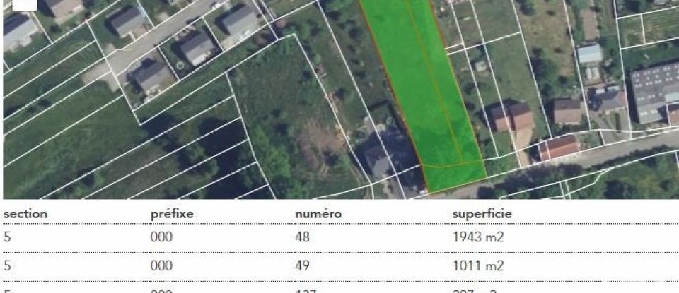 Terrain de 3 251 m² à Rémering-lès-Puttelange (57510)