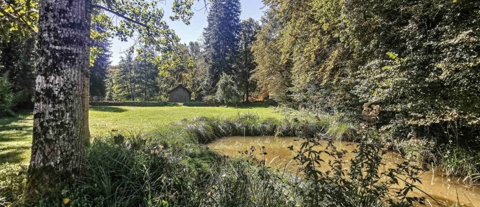 Maison 7 pièces de 250 m² à Prats-du-Périgord (24550)