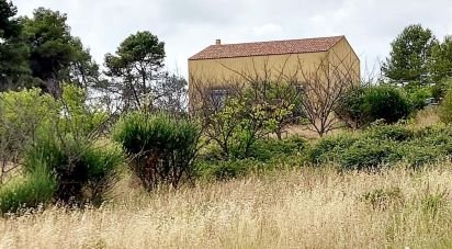 Barn conversion 3 rooms of 240 m² in Bize-Minervois (11120)