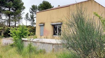 Barn conversion 3 rooms of 240 m² in Bize-Minervois (11120)