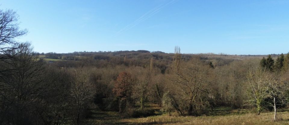 Vente Terrain 7051m² à Le Pont-Chrétien-Chabenet (36800) - Iad France