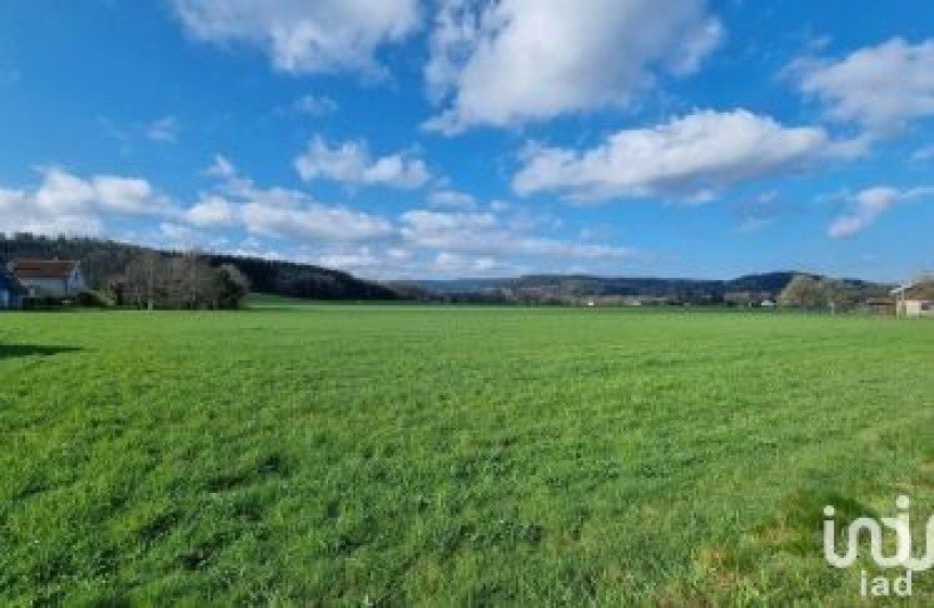 Terrain de 4 920 m² à Saint-Léonard (88650)