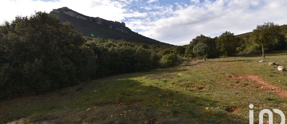 Maison de campagne 3 pièces de 74 m² à Duilhac-sous-Peyrepertuse (11350)