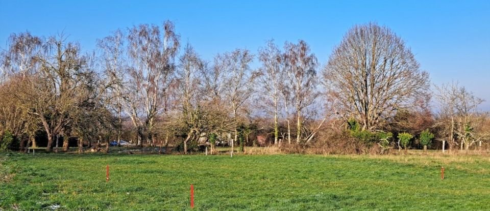 Terrain de 563 m² à Seignelay (89250)