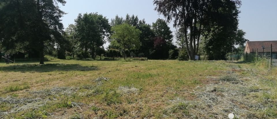 Vente Terrain 704m² à Saultain (59990) - Iad France