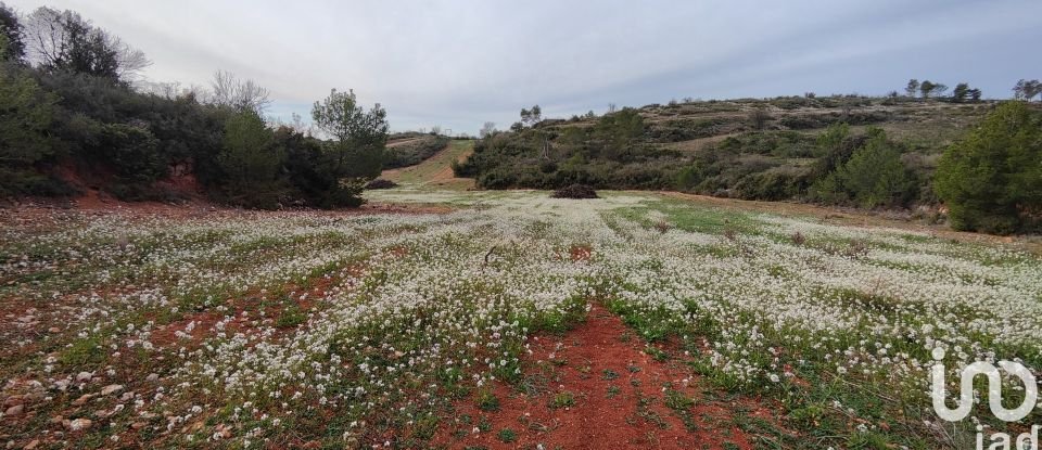 Land of 11,920 m² in Cébazan (34360)