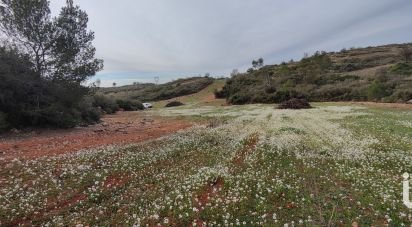 Land of 11,920 m² in Cébazan (34360)