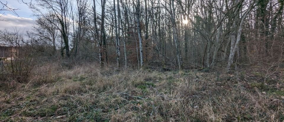 Land of 1,481 m² in Appoigny (89380)