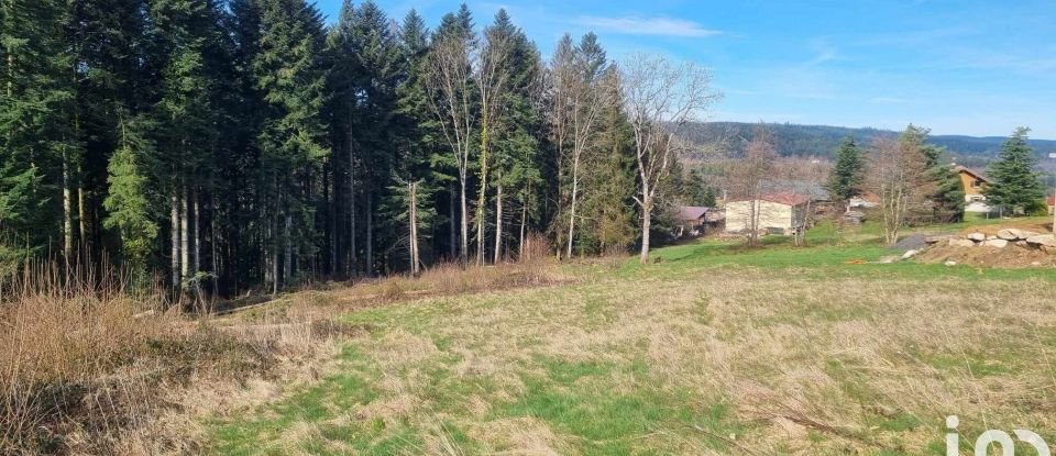 Land of 3,195 m² in Anould (88650)