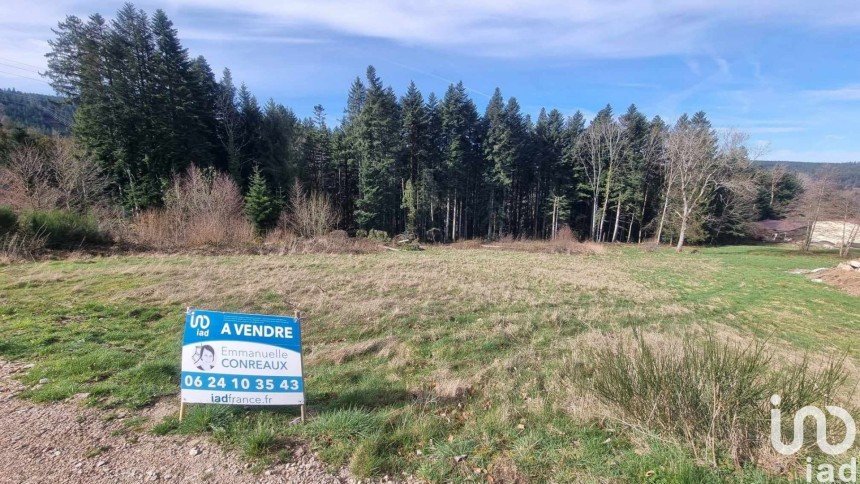 Land of 3,195 m² in Anould (88650)