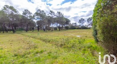 Terrain de 5 558 m² à Puget-sur-Argens (83480)