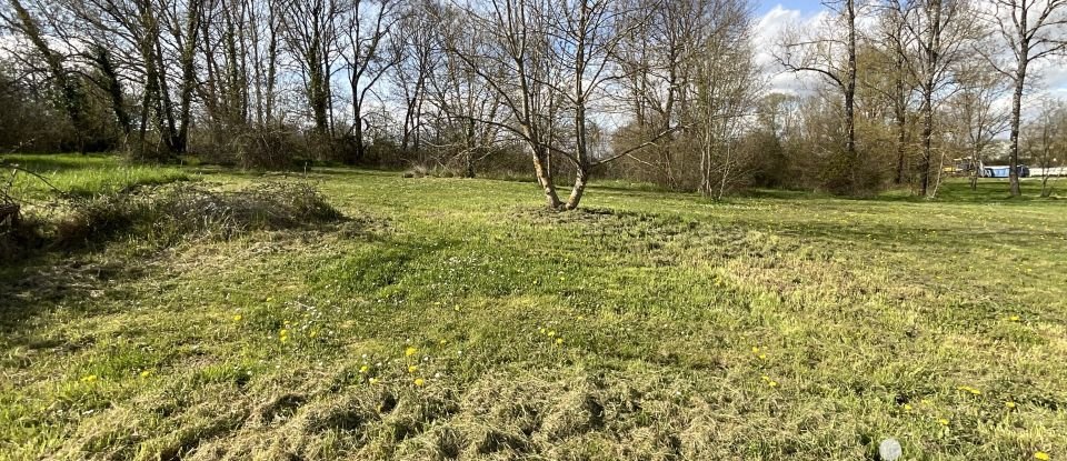 Vente Terrain 4398m² à Chazelles (16380) - Iad France