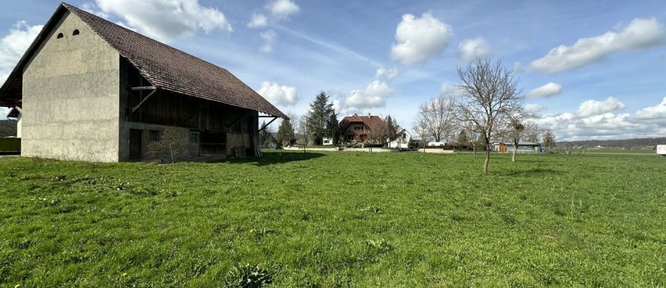 Land of 14,731 m² in Bouxwiller (68480)