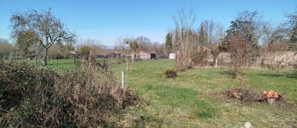 Grange 1 pièce de 75 m² à Randan (63310)