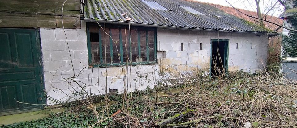 Maison traditionnelle 3 pièces de 125 m² à Fiefs (62134)