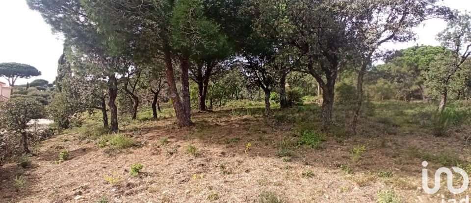 Terrain de 1 629 m² à Sainte-Maxime (83120)