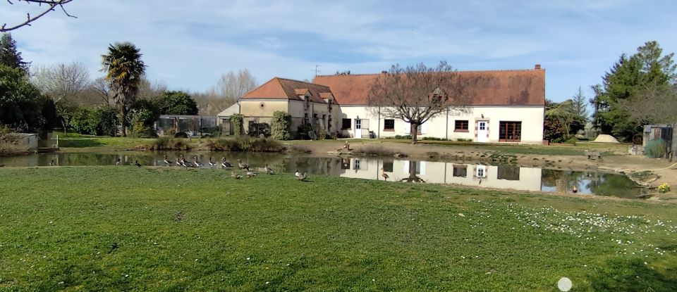 Longère 4 pièces de 230 m² à Ligny-le-Ribault (45240)