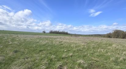 Land of 7,029 m² in Vernonvilliers (10200)