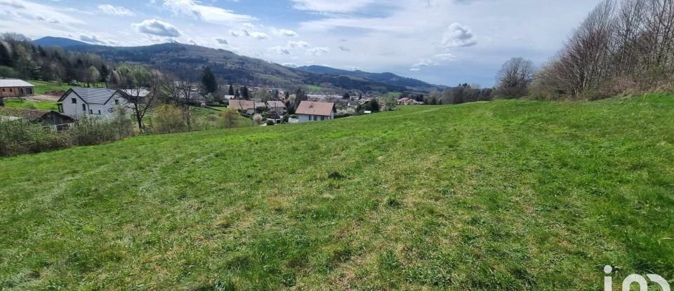 Terrain de 11 727 m² à Fraize (88230)