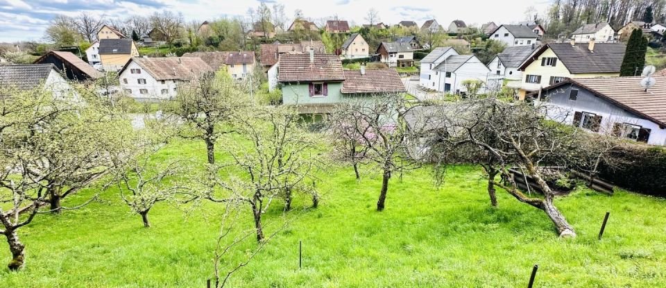 Maison 6 pièces de 119 m² à Seppois-le-Haut (68580)