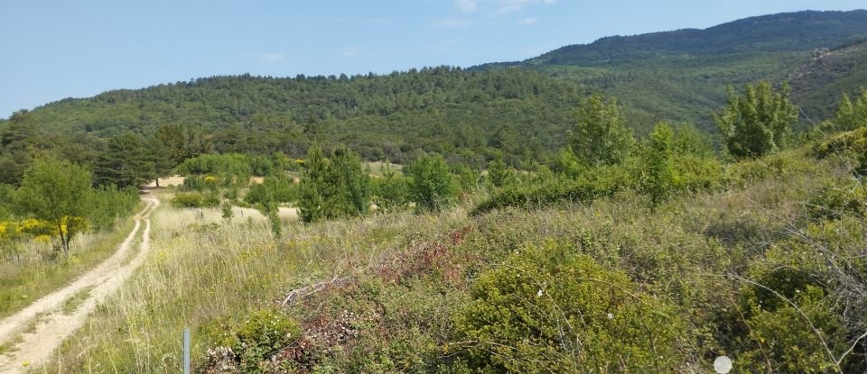 Agricultural land of 244,016 m² in Le Bosc (34700)