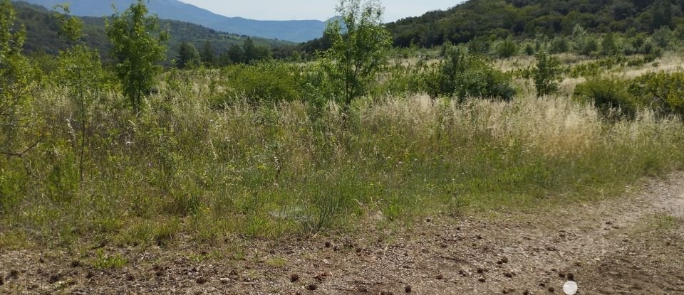 Agricultural land of 244,016 m² in Le Bosc (34700)