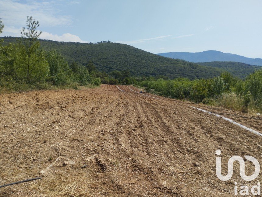 Agricultural land of 244,016 m² in Le Bosc (34700)