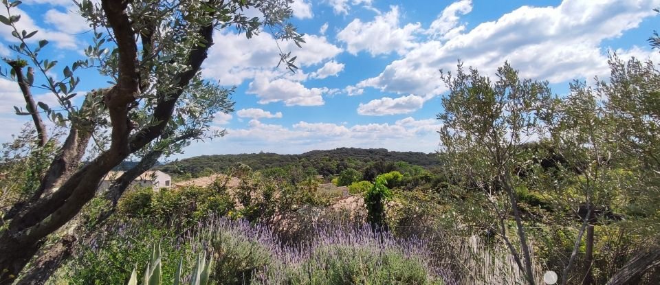 Maison de campagne 8 pièces de 206 m² à Montesquieu (34320)