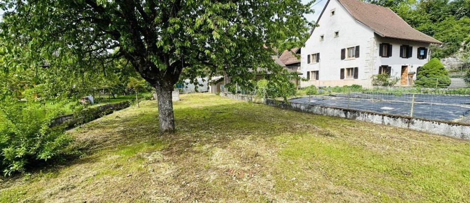 Maison 7 pièces de 157 m² à Raedersdorf (68480)