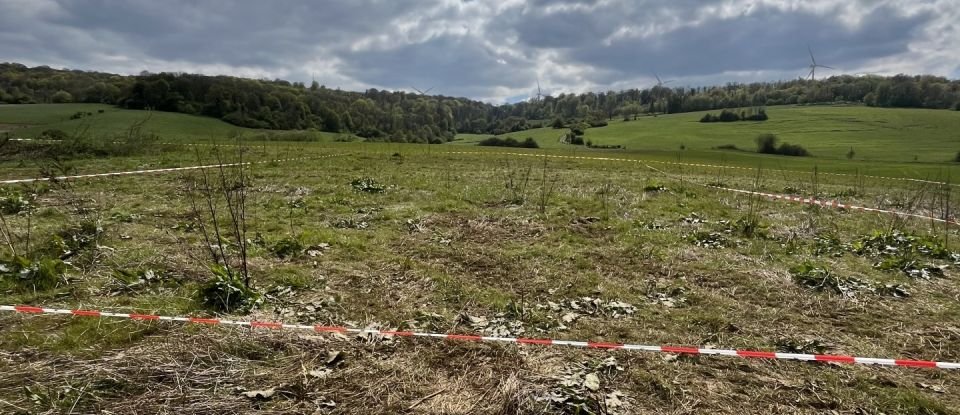 Terrain de 532 m² à Saint-Pancré (54730)