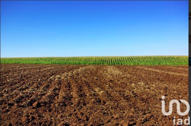 Terrain agricole de 15 382 m² à Clermont-l'Hérault (34800)