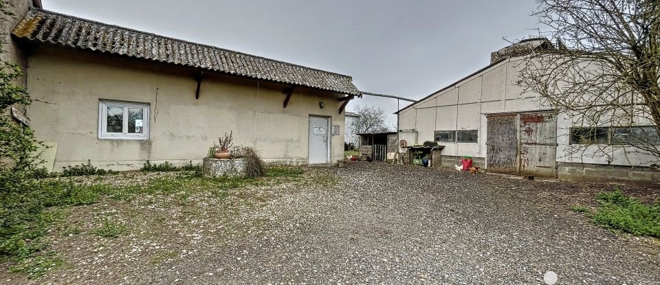 Ferme 5 pièces de 147 m² à Oisly (41700)