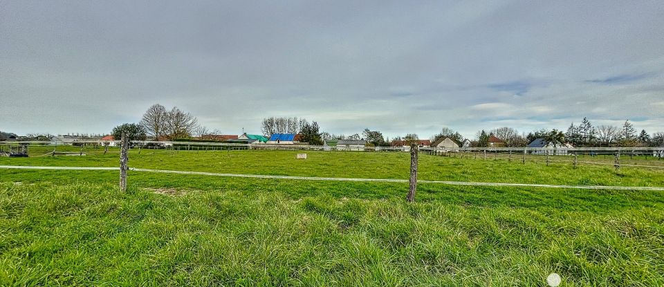 Ferme 5 pièces de 147 m² à Oisly (41700)