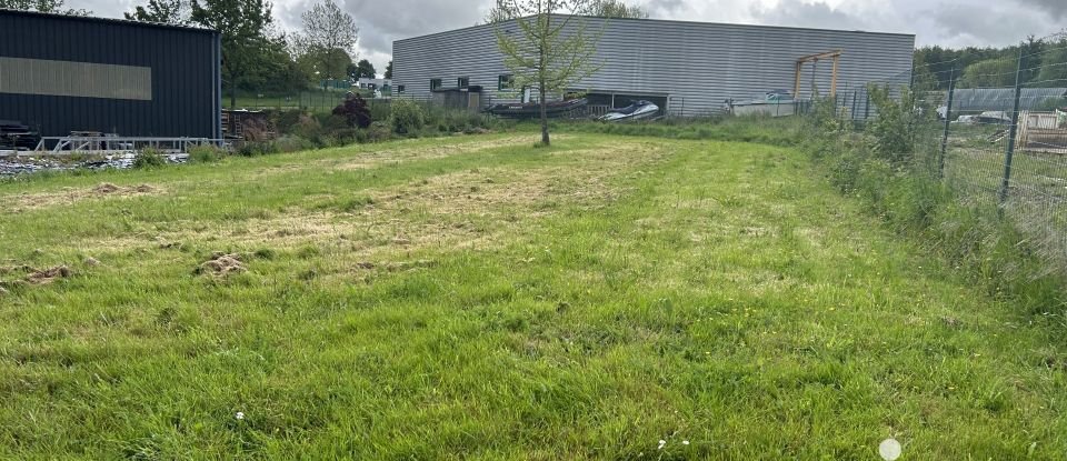 Terrain de 758 m² à Le Lion-d'Angers (49220)