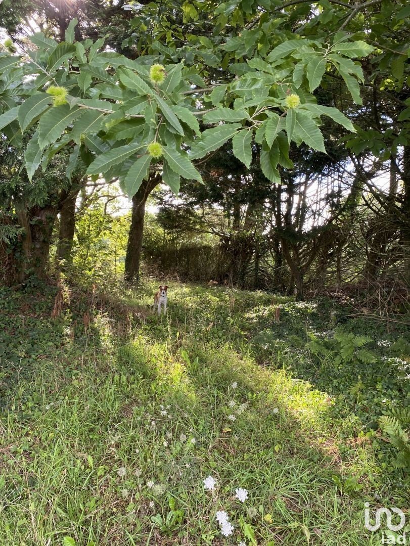 Terrain de 5 000 m² à Plonéour-Lanvern (29720)