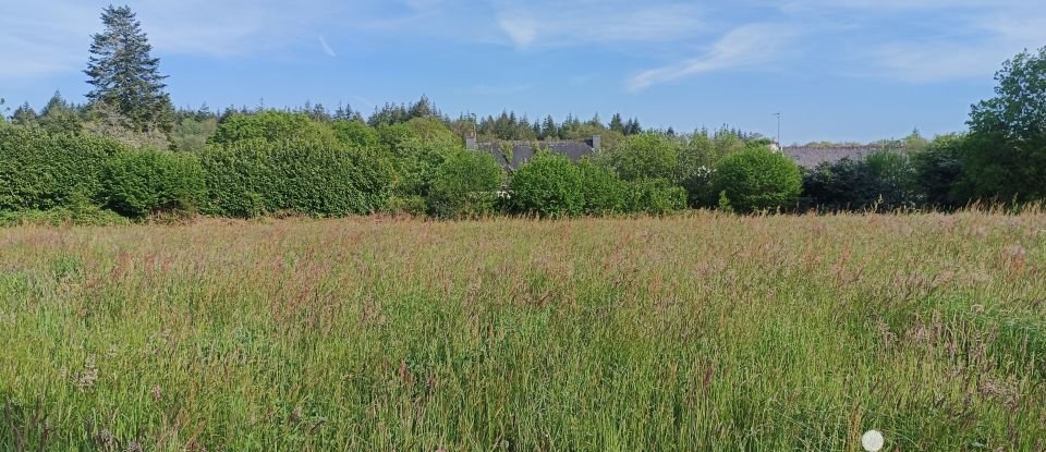 Land of 2,789 m² in Persquen (56160)