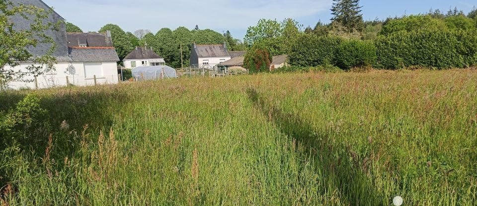 Land of 2,789 m² in Persquen (56160)