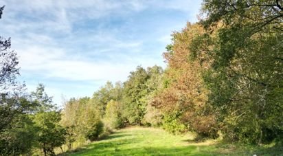 Terrain de 4 517 m² à Carsac-Aillac (24200)