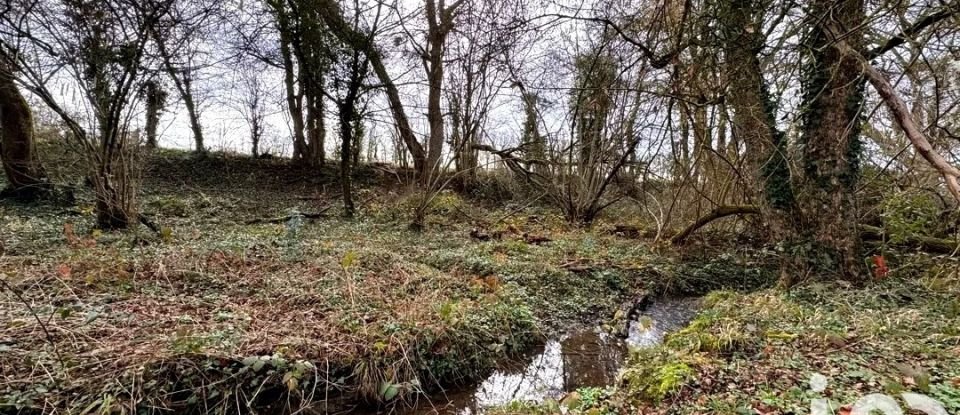 Ferme 6 pièces de 300 m² à - (58200)