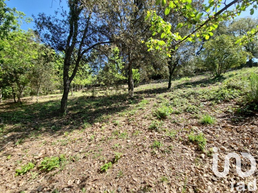 Terrain de 5 909 m² à Les Adrets-de-l'Estérel (83600)