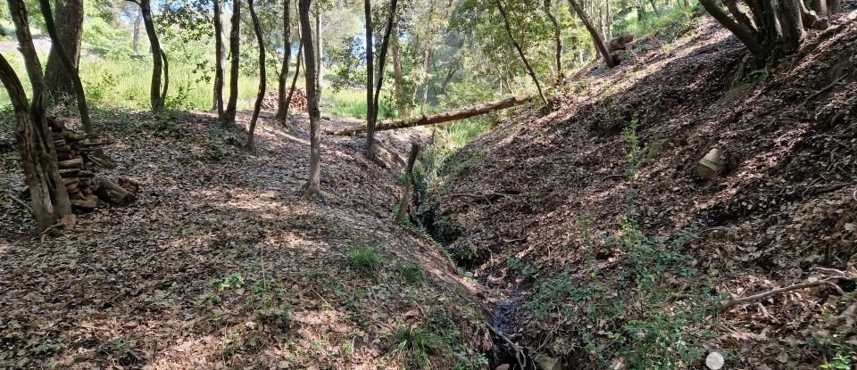 Terrain de 5 909 m² à Les Adrets-de-l'Estérel (83600)