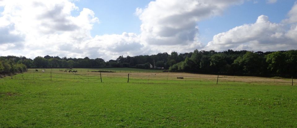 Terrain agricole de 52 830 m² à Grand-Fougeray (35390)