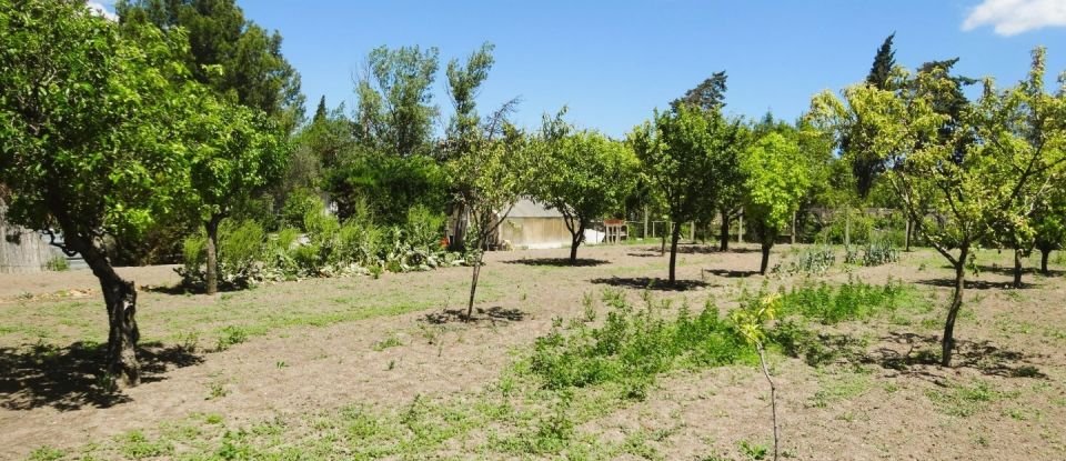 Land of 4,815 m² in Sigean (11130)