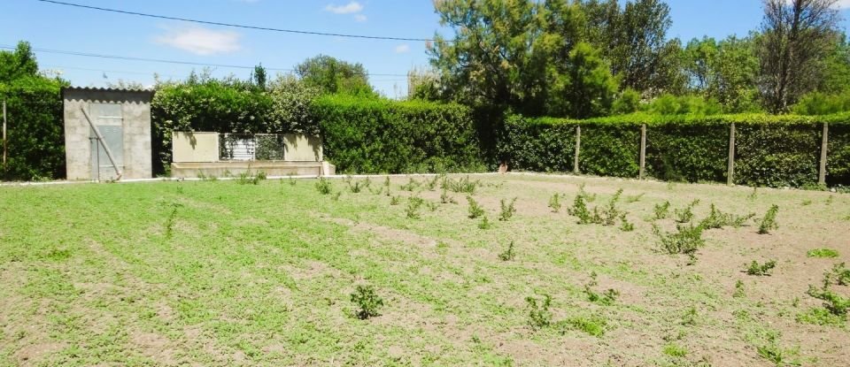 Land of 4,815 m² in Sigean (11130)