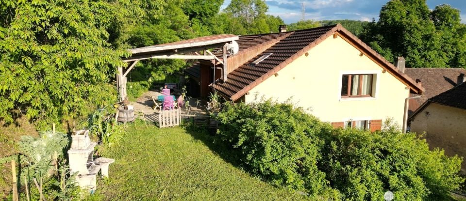 Ferme 6 pièces de 255 m² à Saint-Germain-sur-Rhône (74910)