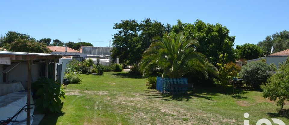 Terrain de 1 400 m² à Saint-Pierre-d'Oléron (17310)