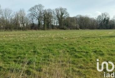 Terrain de 600 m² à Montauban (82000)