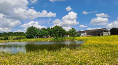 House 6 rooms of 270 m² in Rochefort-sur-Loire (49190)