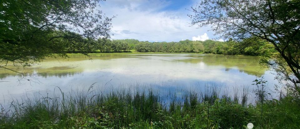 Terrain Loisirs de 42 180 m² à Montereau (45260)